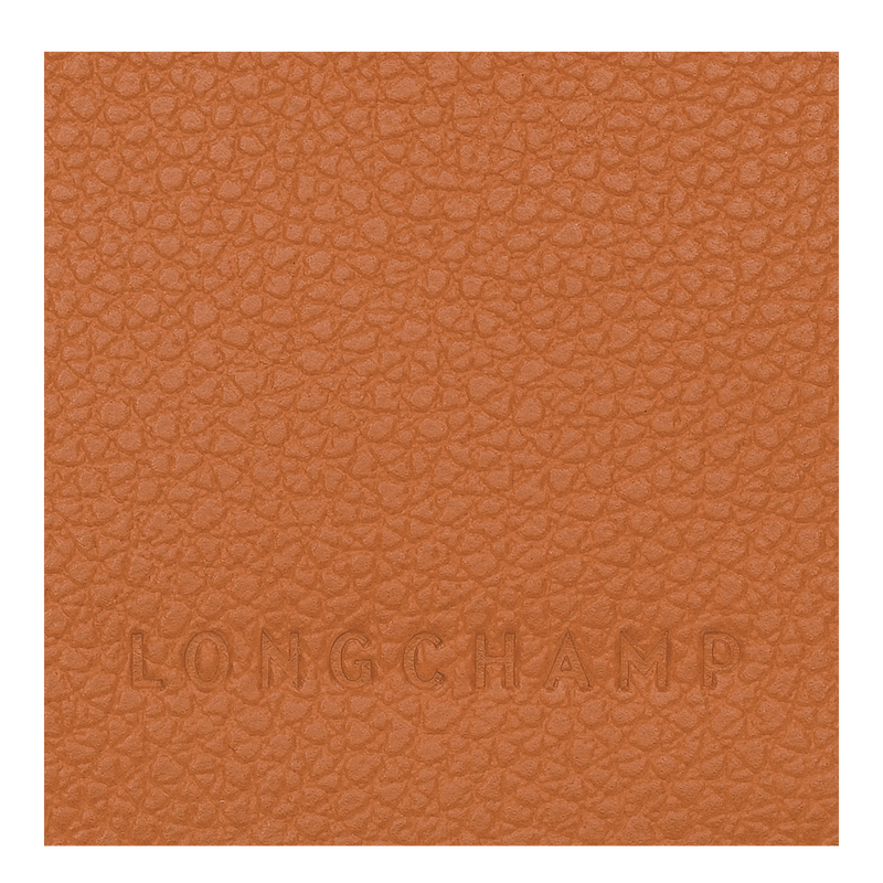 Longchamp Le Foulonné Passport cover product image 9